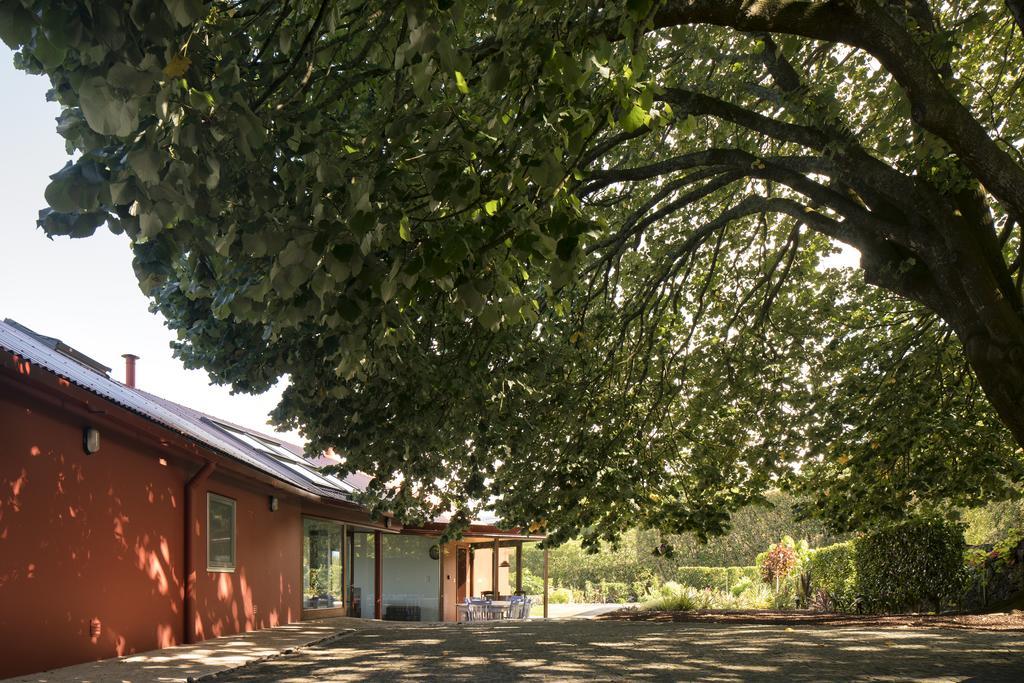 Quinta Da Tilia Boutique Retreat Vendégház Capelas Kültér fotó
